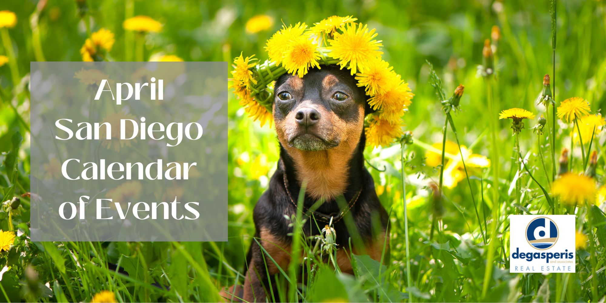 Karen DeGasperis April Calendar of Events San Diego